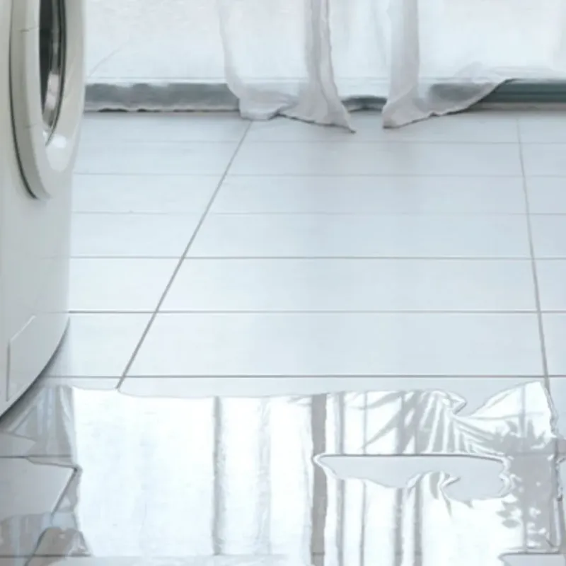 Appliance Leak Cleanup in Martin County, TX