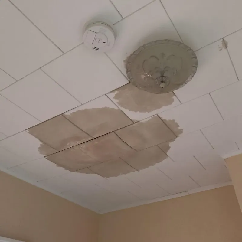 Ceiling Water Damage Repair in Martin County, TX