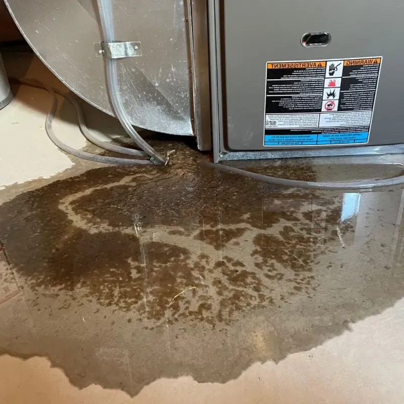 Pipe Burst and Leak Restoration in Martin County, TX