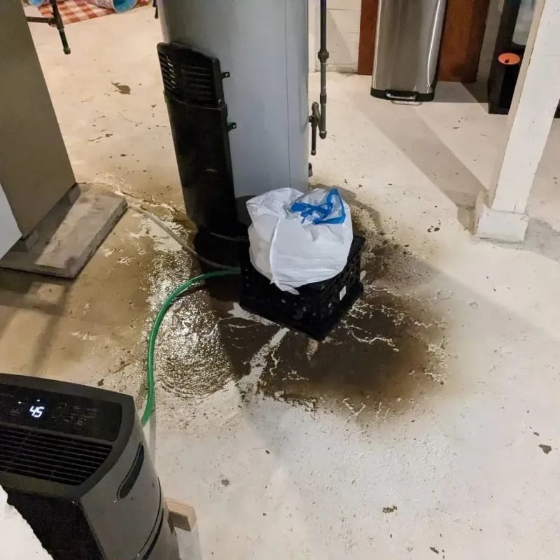 Sewage Backup Cleanup Service in Martin County, TX